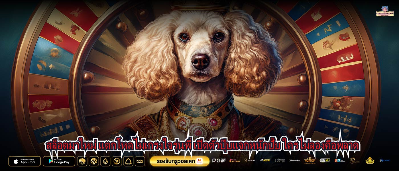 สล็อตมาใหม่ แตกโหดไม่เกรงใจรุ่นพี่ เปิดตัวปุ๊บแจกหนักปั๊บ ใครไม่ลองคือพลาด